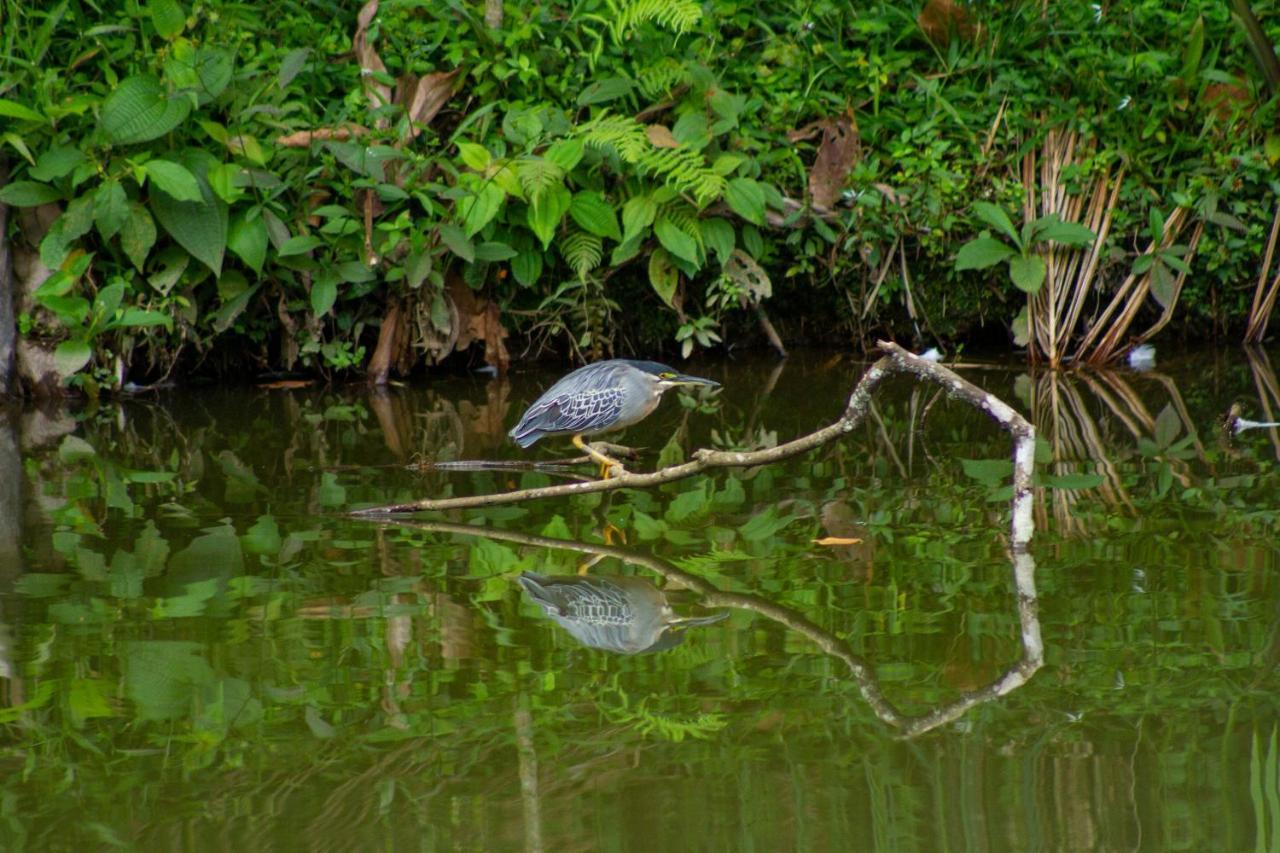 Eco Hotel Los Lagos Marsella  Ngoại thất bức ảnh